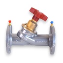 Valvula Equilibradora STAF-SG-250-ANSI 150 8"