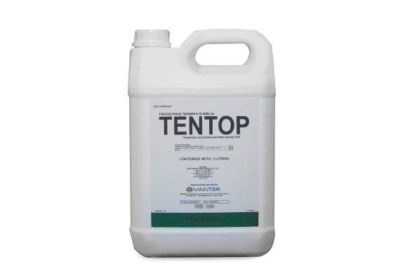 TENTOP (C x 4 x 5 lt)